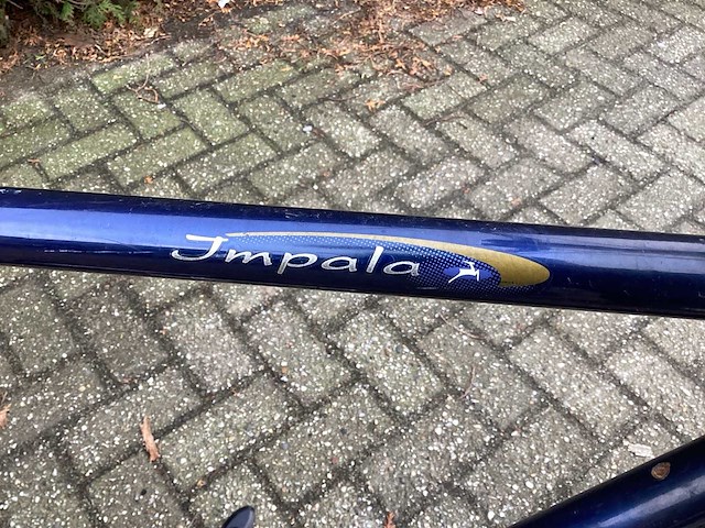 Gazelle impala herenfiets - afbeelding 12 van  16
