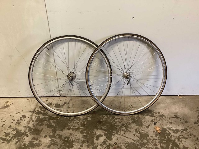 Gazelle wielrenvelg (2x) - afbeelding 1 van  6