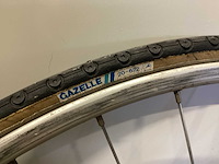 Gazelle wielrenvelg (2x) - afbeelding 2 van  6