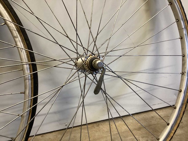 Gazelle wielrenvelg (2x) - afbeelding 3 van  6