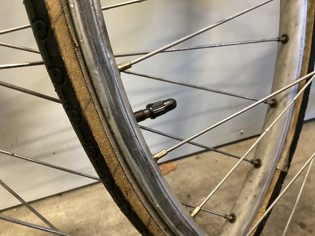 Gazelle wielrenvelg (2x) - afbeelding 4 van  6