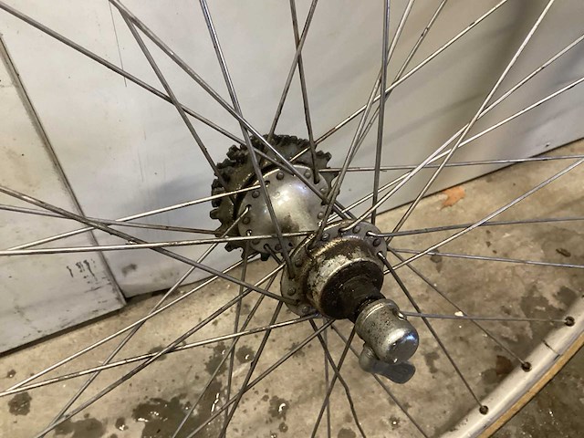 Gazelle wielrenvelg (2x) - afbeelding 5 van  6