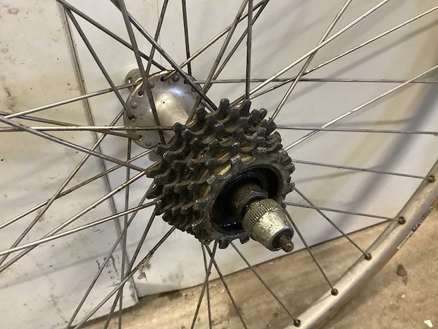 Gazelle wielrenvelg (2x) - afbeelding 6 van  6