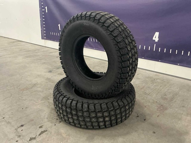 Gazonband (2x)”ongebruikt” - afbeelding 1 van  4