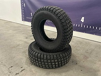 Gazonband (2x)”ongebruikt” - afbeelding 1 van  4