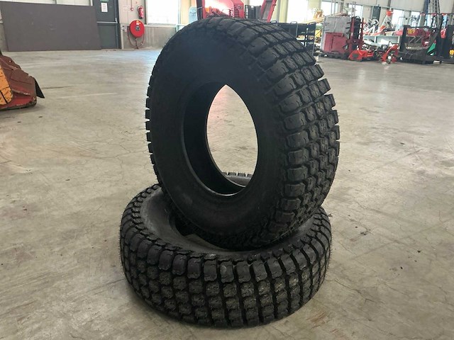 Gazonband (2x)”ongebruikt” - afbeelding 3 van  4