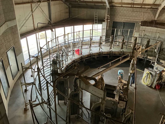 Gea gerobotiseerde melkcarrousel - afbeelding 34 van  40