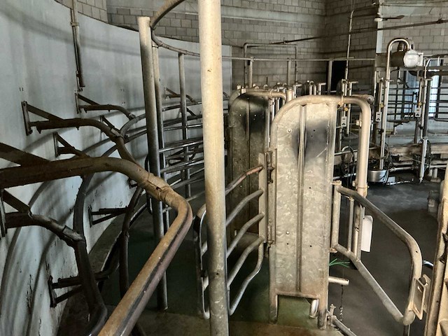 Gea gerobotiseerde melkcarrousel - afbeelding 38 van  40