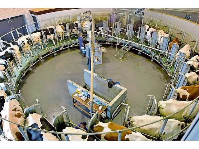 Gea gerobotiseerde melkcarrousel - afbeelding 1 van  40