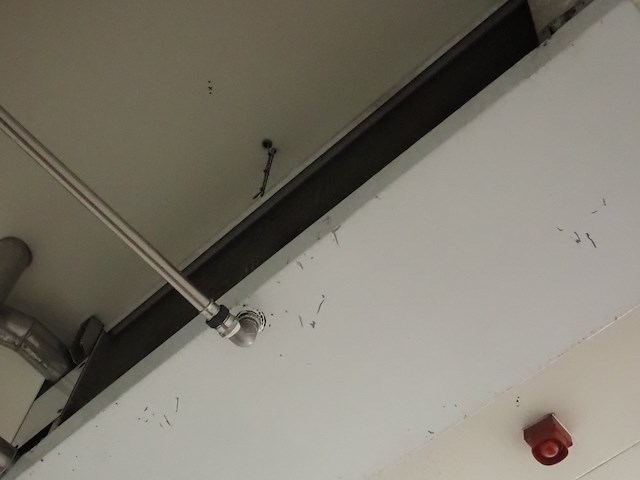 Gea goedhart b.v. - afbeelding 3 van  4