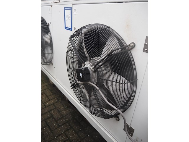 Gea goedhart - afbeelding 4 van  9