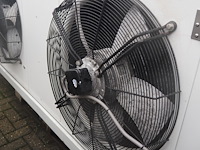 Gea goedhart - afbeelding 4 van  9