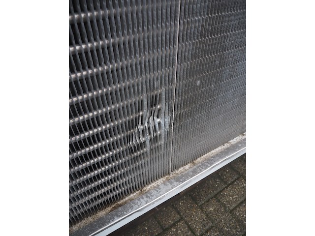 Gea goedhart - afbeelding 7 van  9