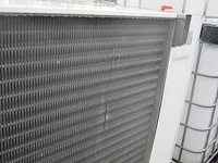 Gea goedhart - afbeelding 8 van  9