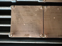 Gea grasso - afbeelding 3 van  15