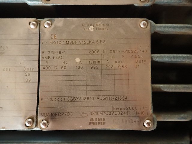 Gea grasso - afbeelding 4 van  15