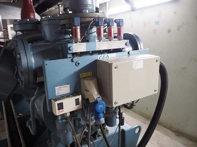 Gea grasso - afbeelding 6 van  15