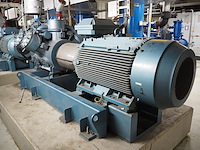 Gea grasso - afbeelding 9 van  15