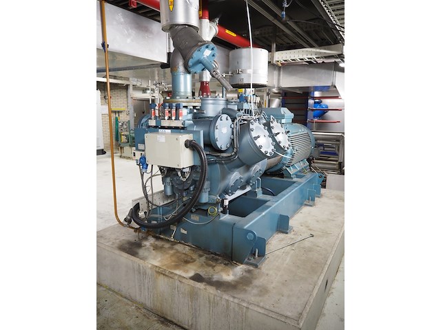 Gea grasso - afbeelding 10 van  15