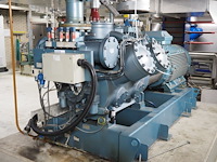 Gea grasso - afbeelding 10 van  15