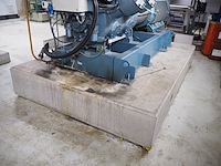 Gea grasso - afbeelding 11 van  15