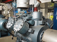 Gea grasso - afbeelding 14 van  15