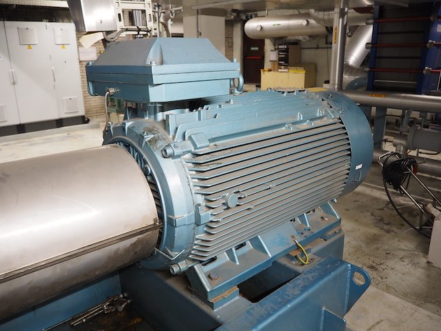 Gea grasso - afbeelding 15 van  15