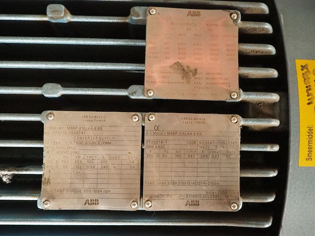 Gea grasso - afbeelding 4 van  17