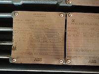 Gea grasso - afbeelding 5 van  17