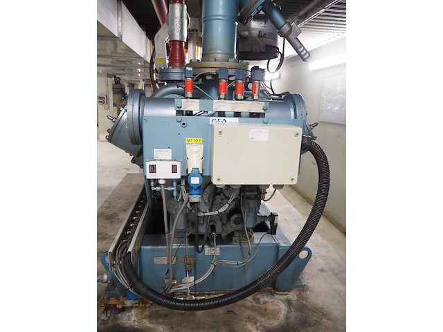 Gea grasso - afbeelding 8 van  17