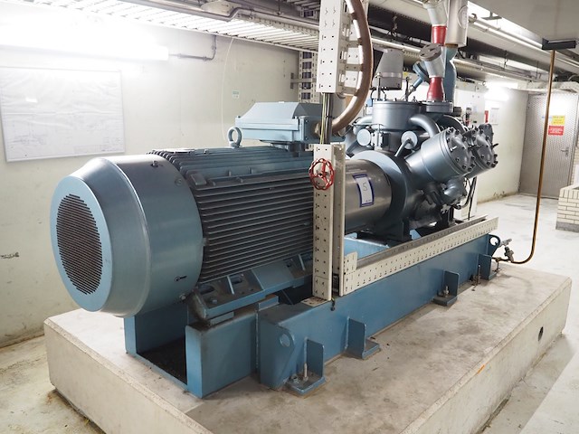 Gea grasso - afbeelding 10 van  17