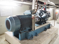 Gea grasso - afbeelding 10 van  17