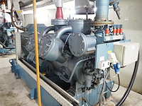 Gea grasso - afbeelding 14 van  17