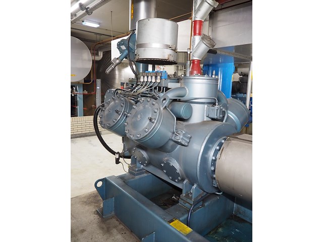 Gea grasso - afbeelding 15 van  17