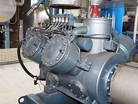 Gea grasso - afbeelding 15 van  17