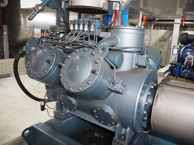 Gea grasso - afbeelding 16 van  17