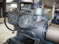 Gea grasso - afbeelding 16 van  17