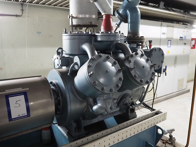 Gea grasso - afbeelding 17 van  17