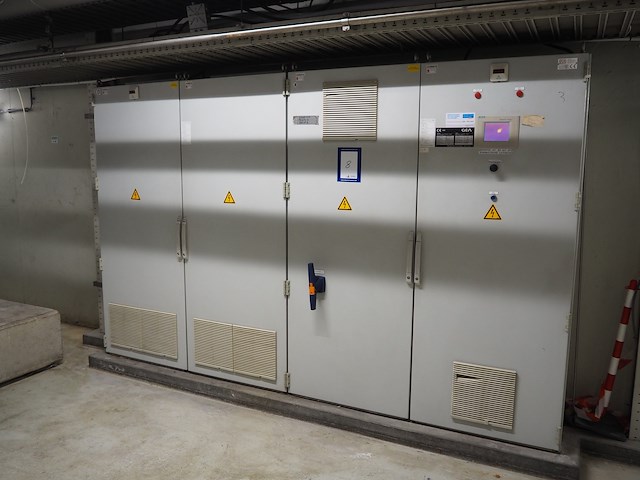 Gea grasso - afbeelding 1 van  10