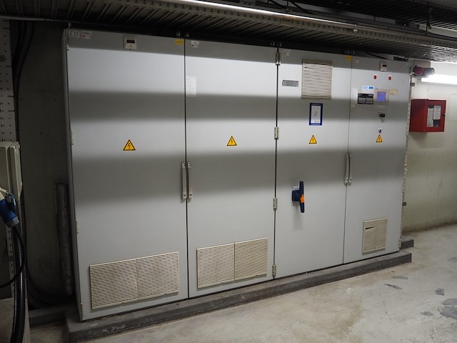 Gea grasso - afbeelding 3 van  10