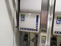 Gea grasso - afbeelding 5 van  10