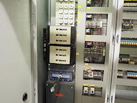 Gea grasso - afbeelding 10 van  10