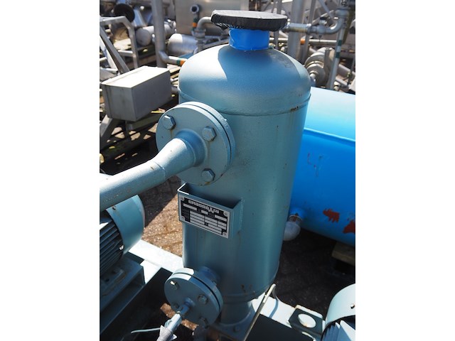 Gea grasso - afbeelding 3 van  20