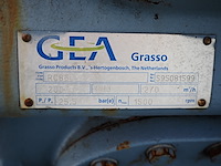 Gea grasso - afbeelding 6 van  20