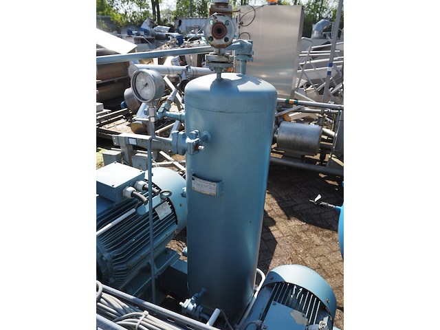 Gea grasso - afbeelding 7 van  20