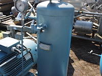 Gea grasso - afbeelding 7 van  20