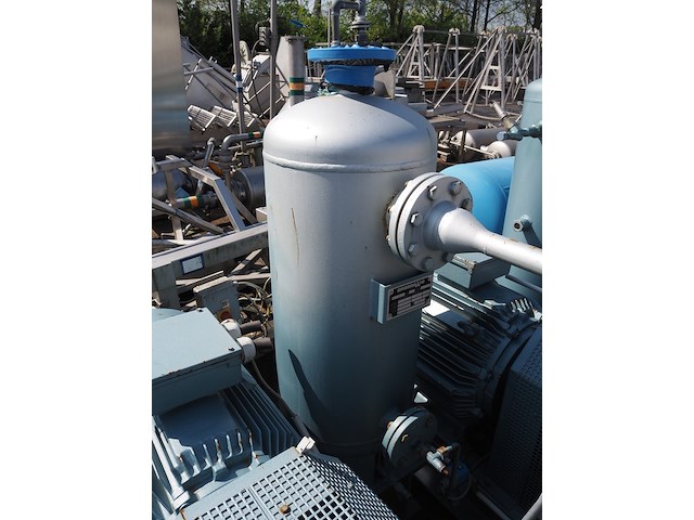 Gea grasso - afbeelding 11 van  20