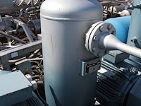 Gea grasso - afbeelding 11 van  20