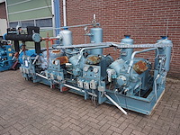 Gea grasso - afbeelding 12 van  20