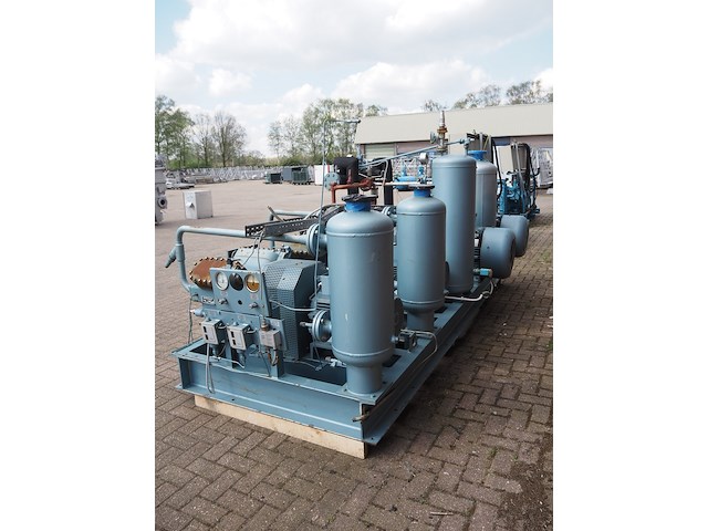 Gea grasso - afbeelding 14 van  20